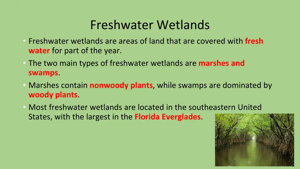 freshwater wetlands