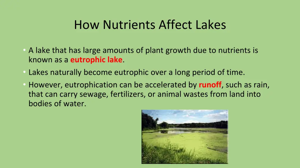 how nutrients affect lakes 1