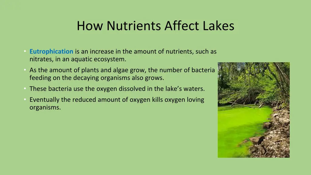 how nutrients affect lakes