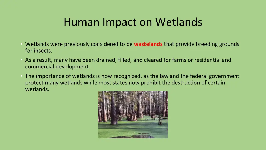 human impact on wetlands