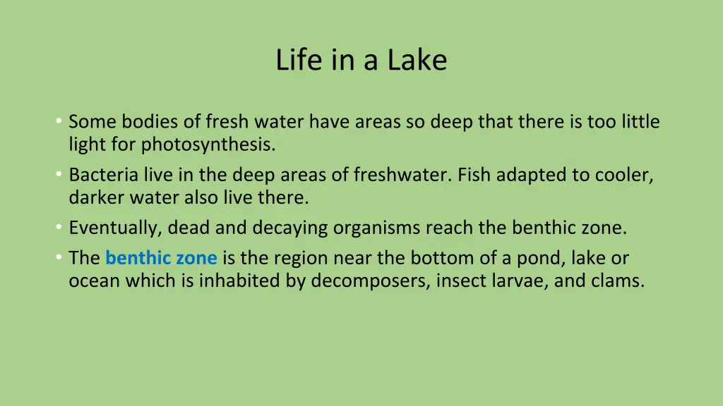 life in a lake 1