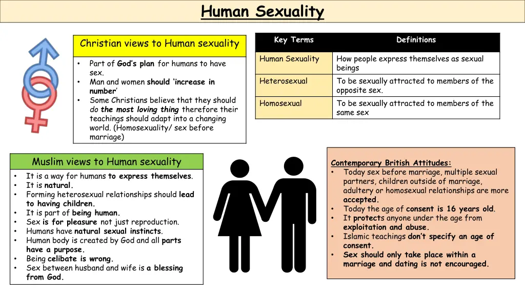 human sexuality