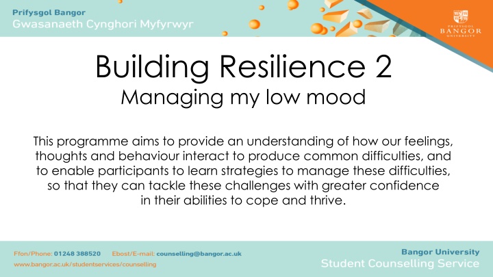 building resilience 2 managing my low mood