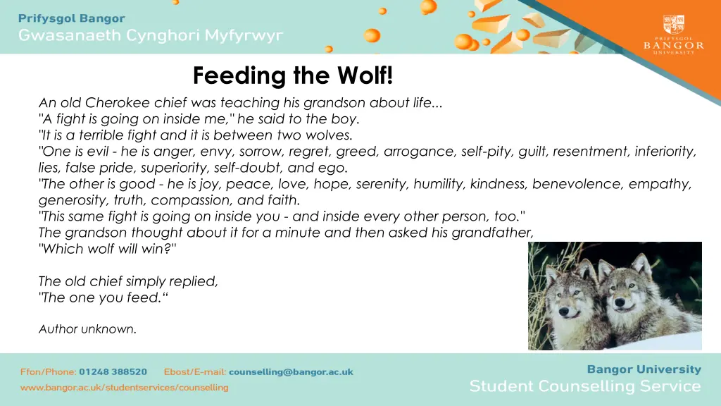 feeding the wolf