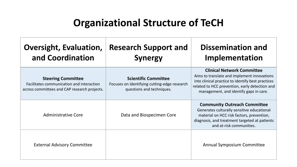 organizational structure of tech