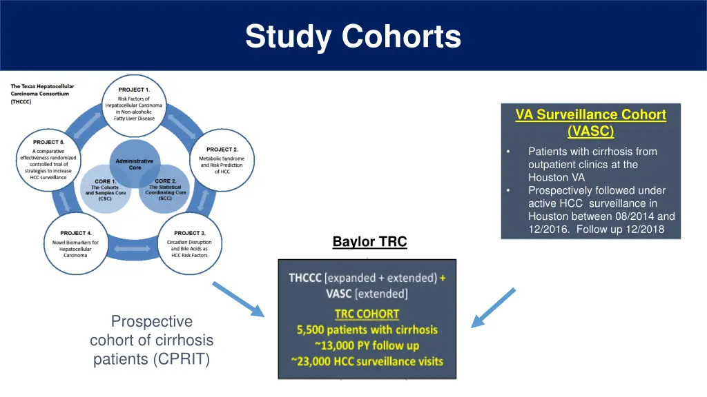 study cohorts