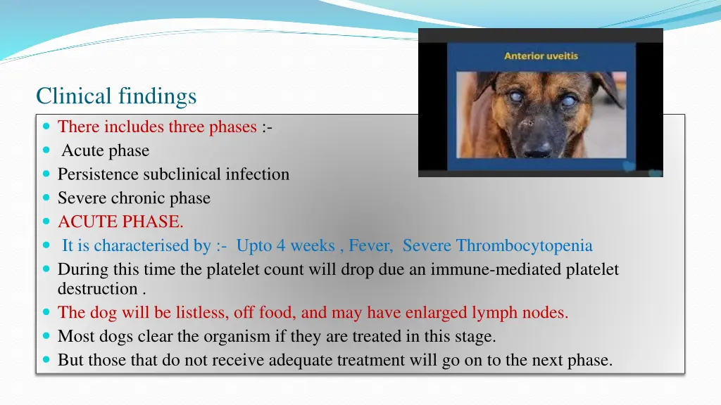 clinical findings there includes three phases