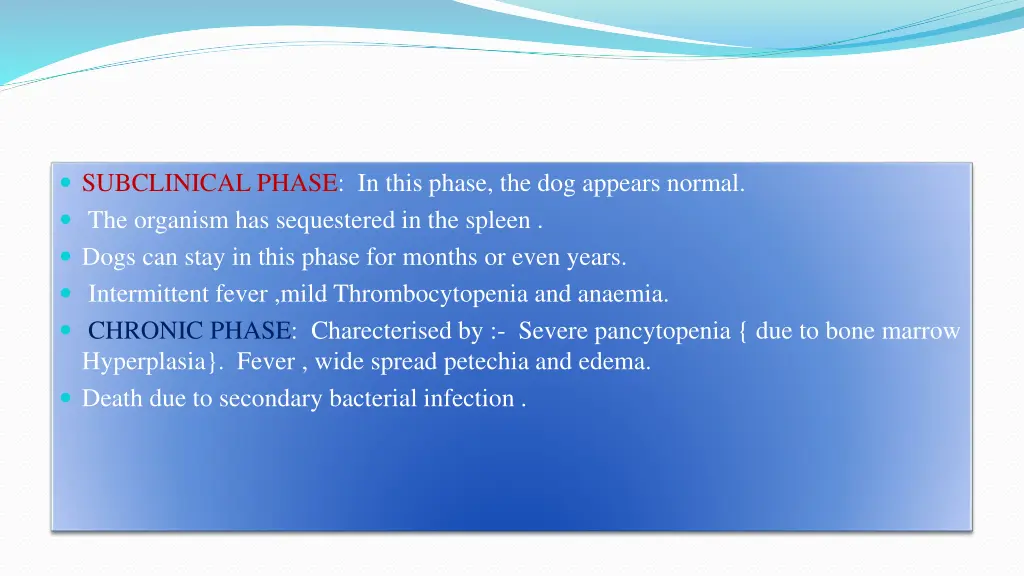 subclinical phase in this phase the dog appears