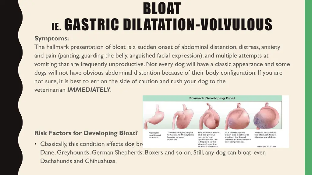 bloat