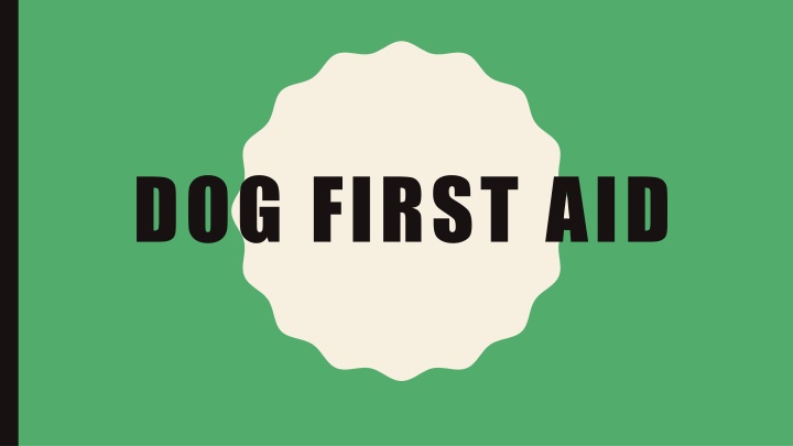 dog first aid