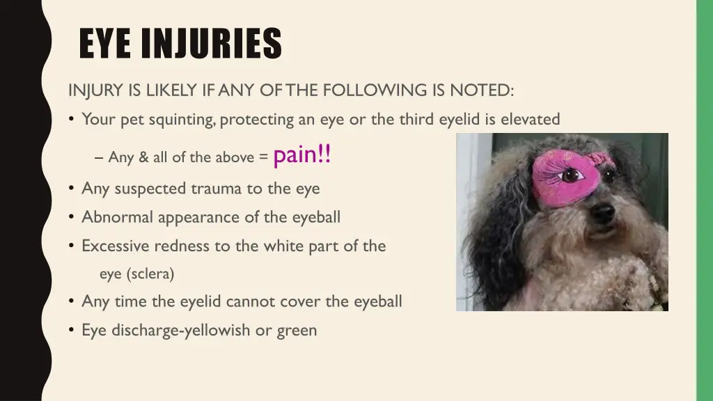 eye injuries