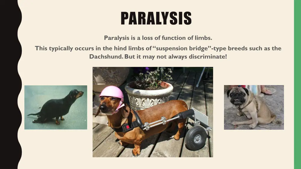 paralysis