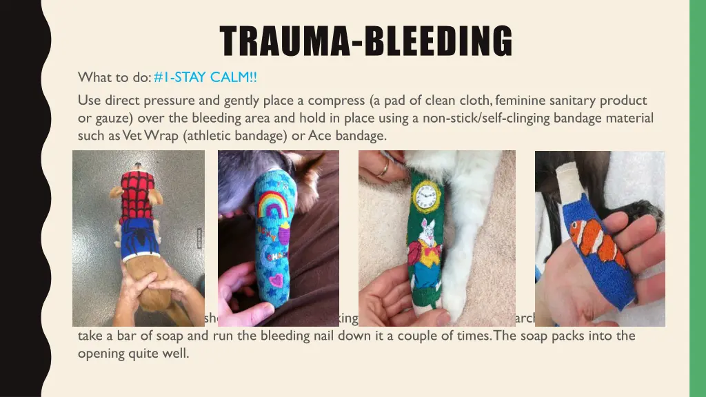 trauma bleeding what to do 1 stay calm use direct