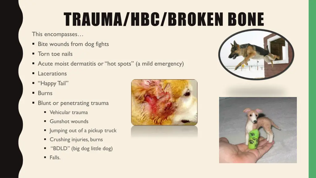 trauma hbc broken bone this encompasses bite