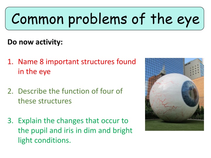 common problems of the eye