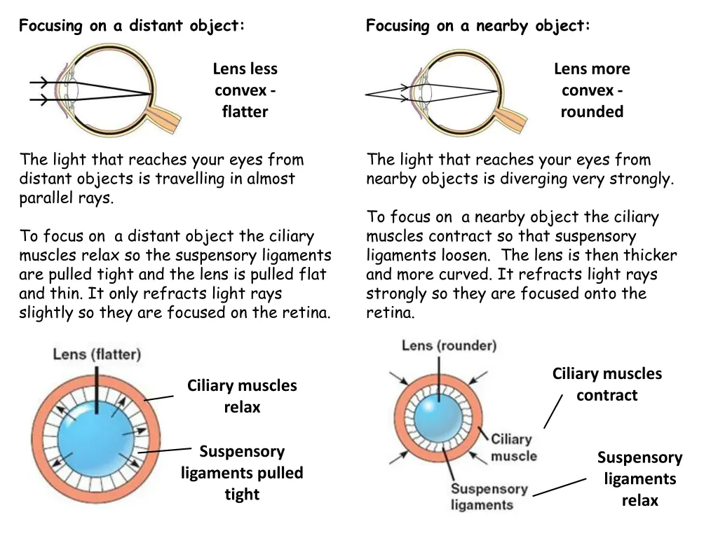 focusing on a distant object