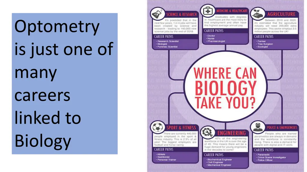 optometry is just one of many careers linked