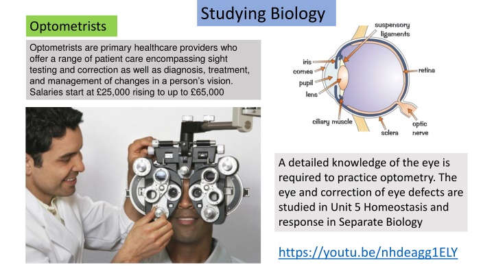 studying biology