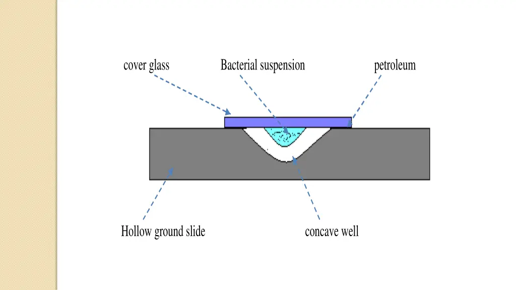 cover glass bacterial suspension petroleum