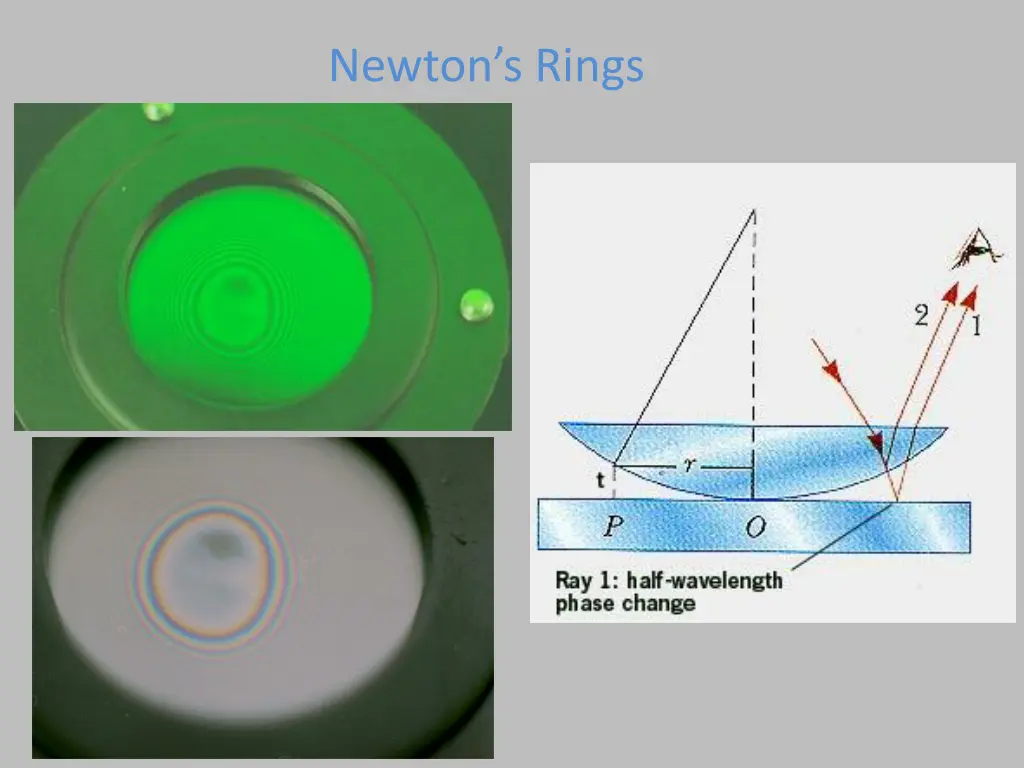 newton s rings