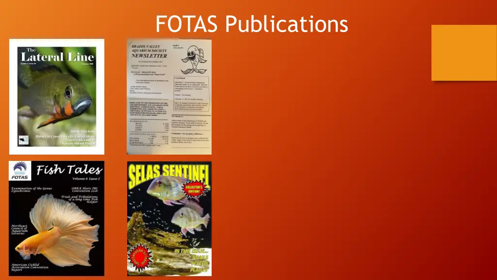 fotas publications