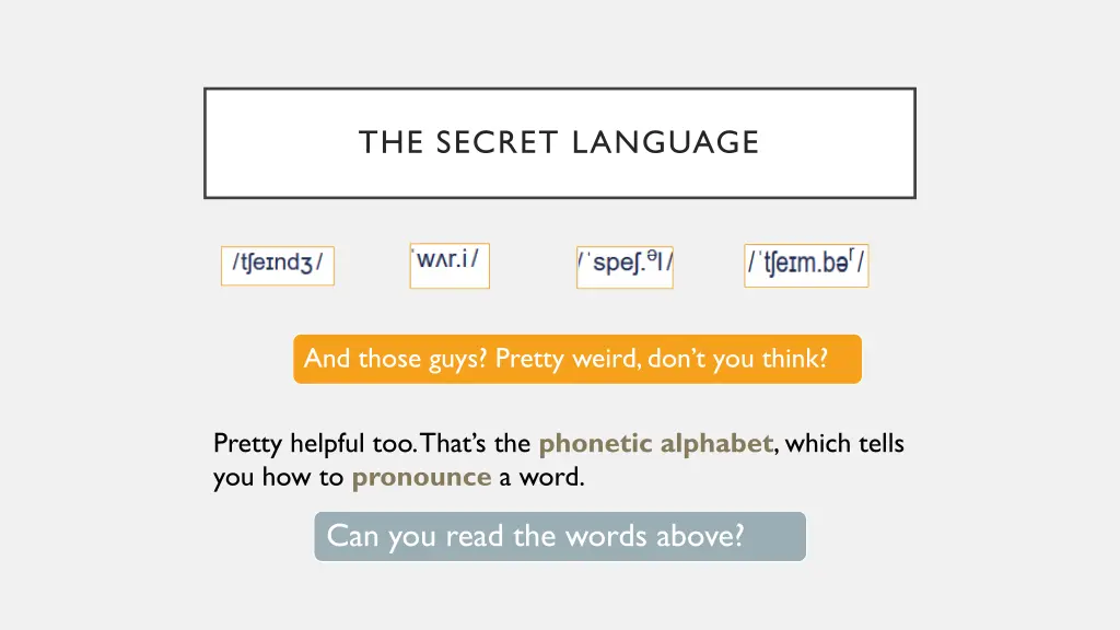 the secret language