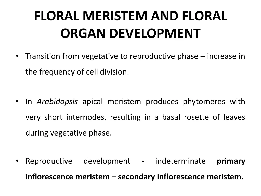 floral meristem and floral organ development