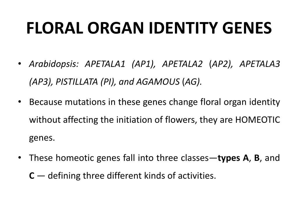 floral organ identity genes