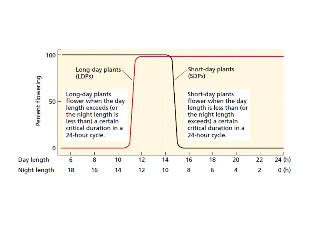 slide30