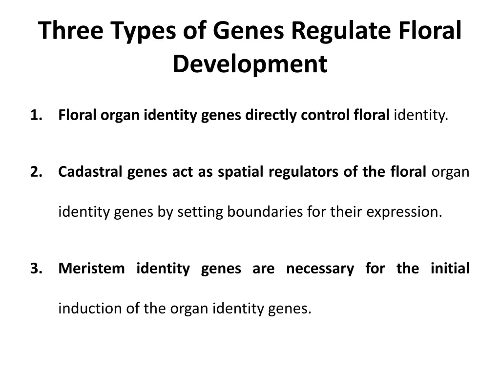 three types of genes regulate floral development