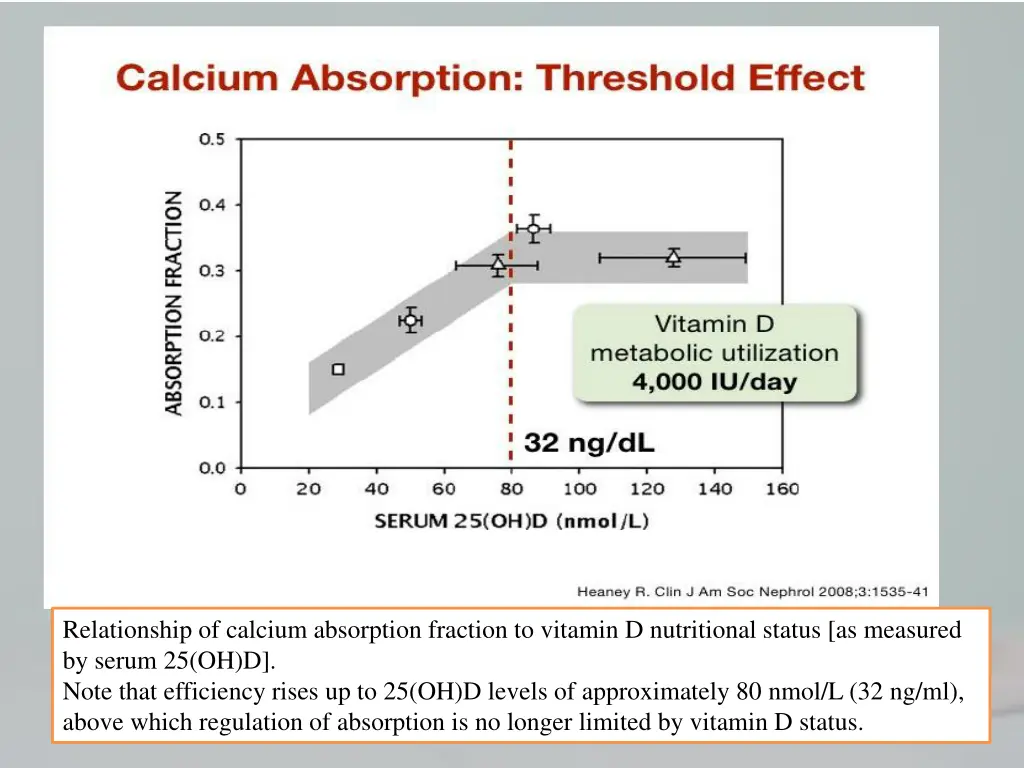 relationship of calcium absorption fraction