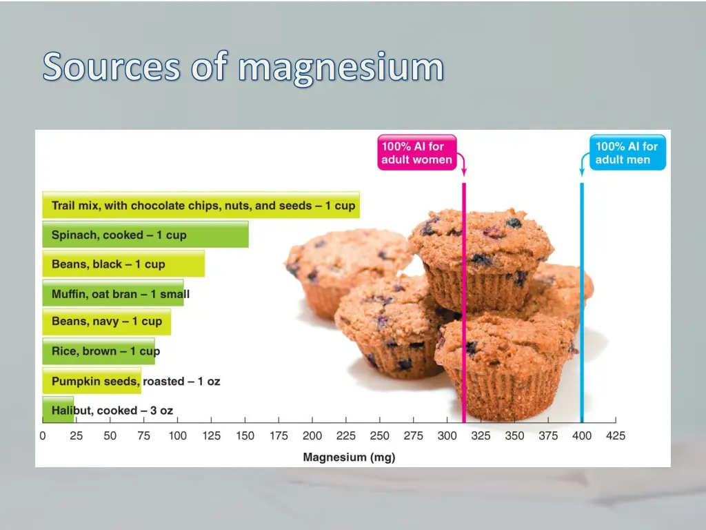 sources of magnesium