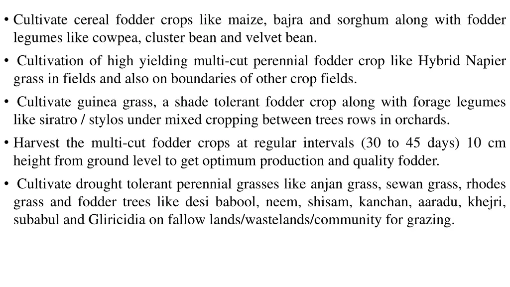 cultivate cereal fodder crops like maize bajra