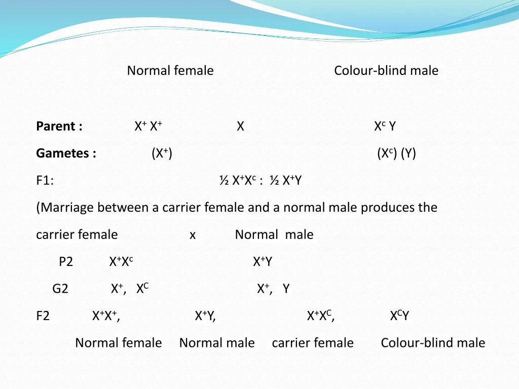 normal female colour blind male