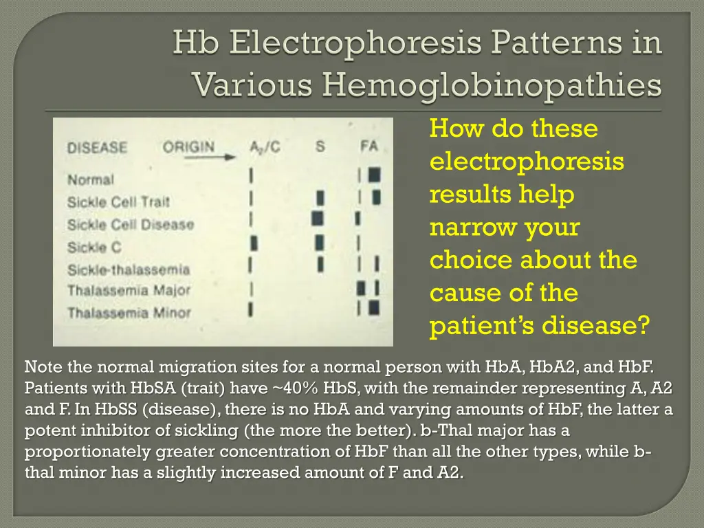 how do these electrophoresis results help narrow