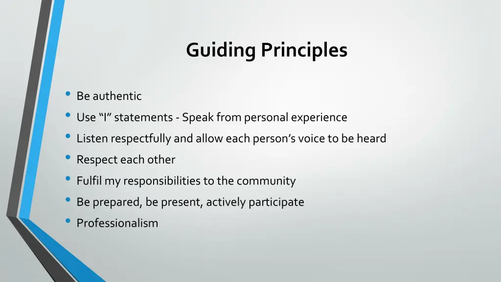 guiding principles