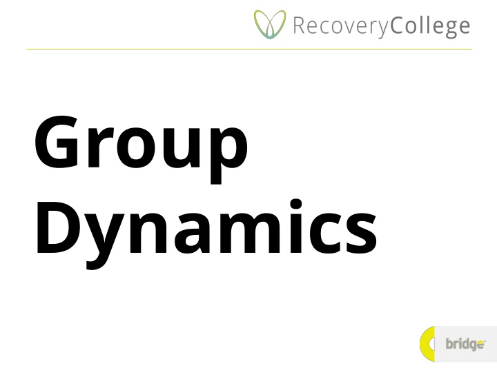 group dynamics