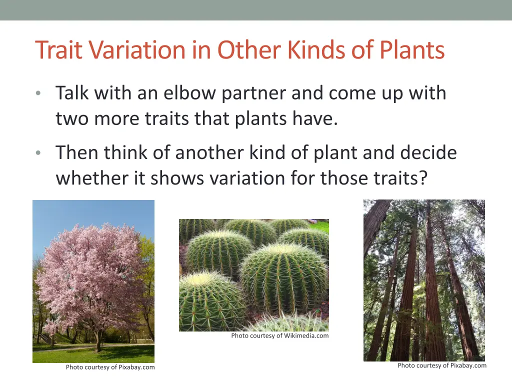 trait variation in other kinds of plants