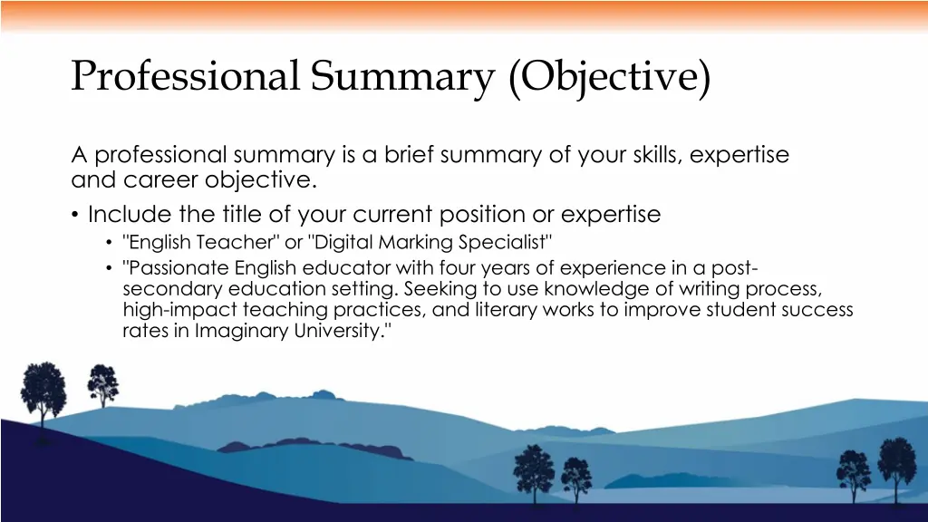 professional summary objective