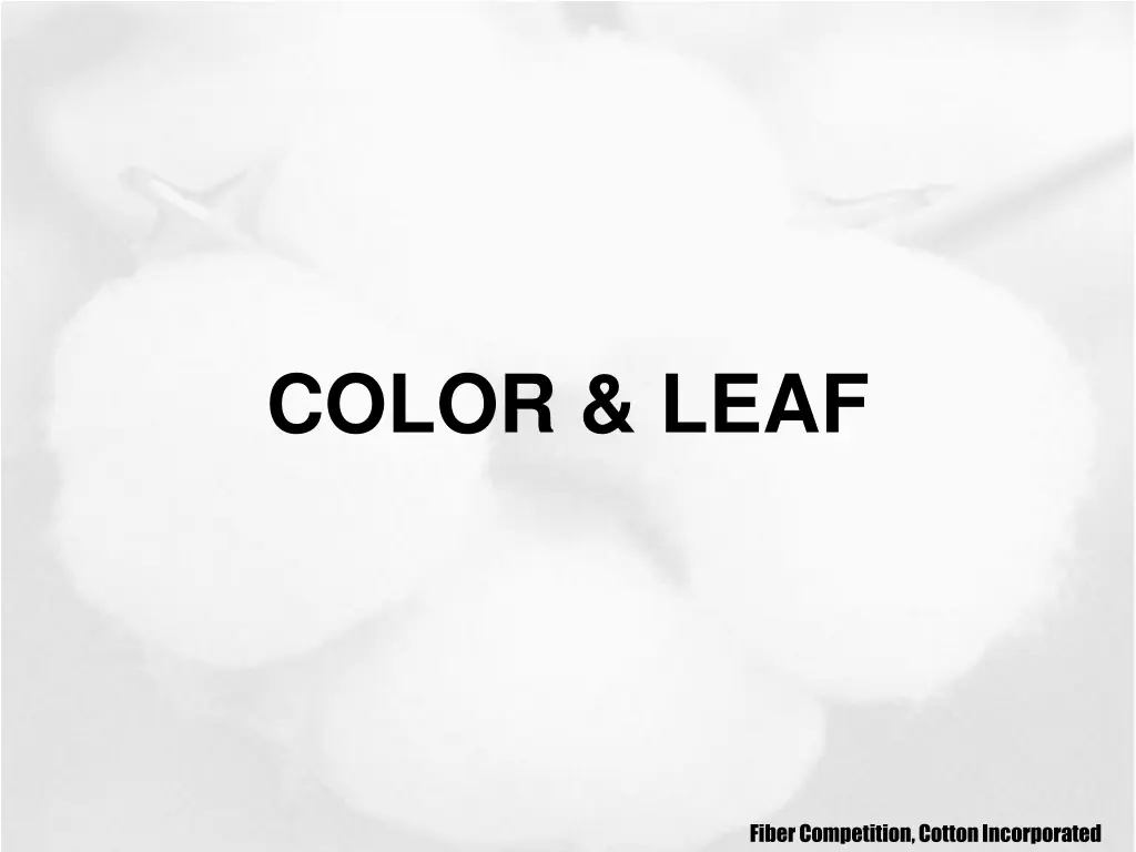 color leaf