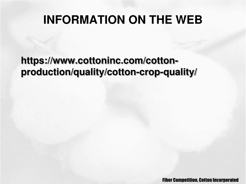 information on the web