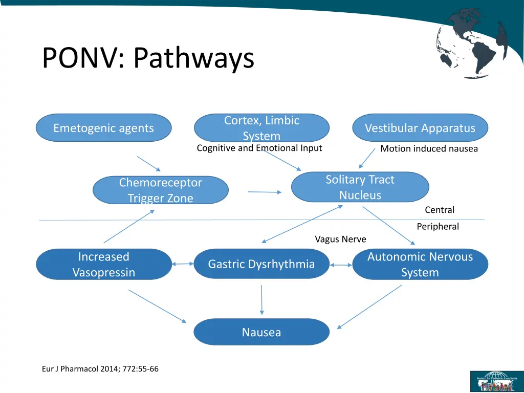 ponv pathways