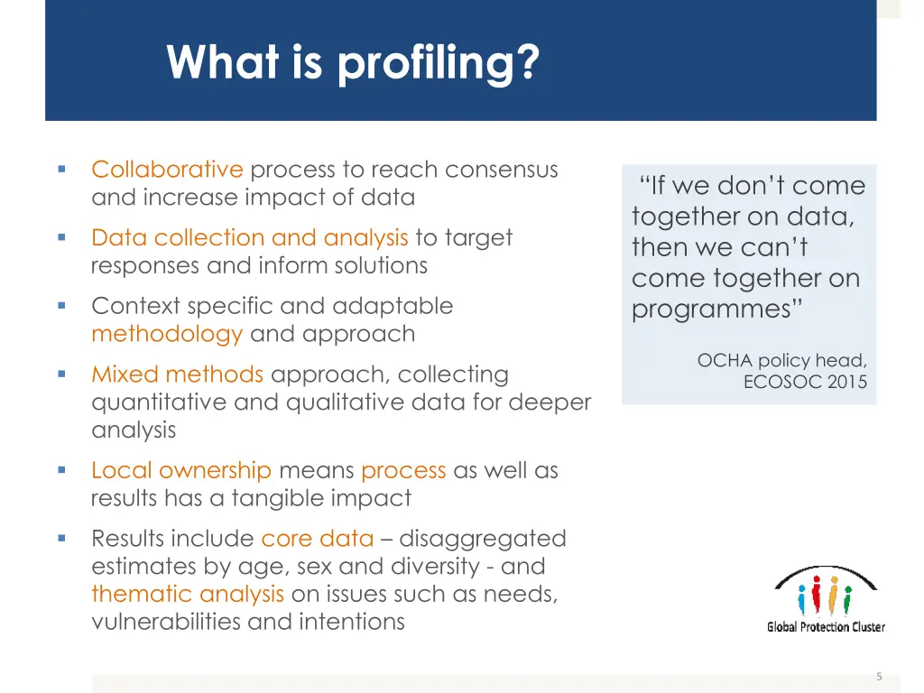 what is profiling 1