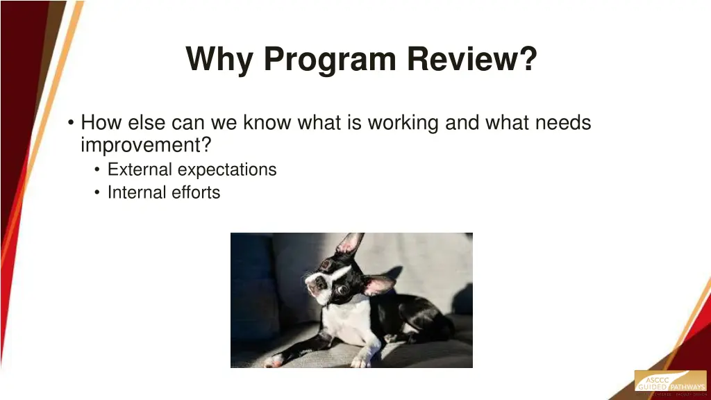 why program review