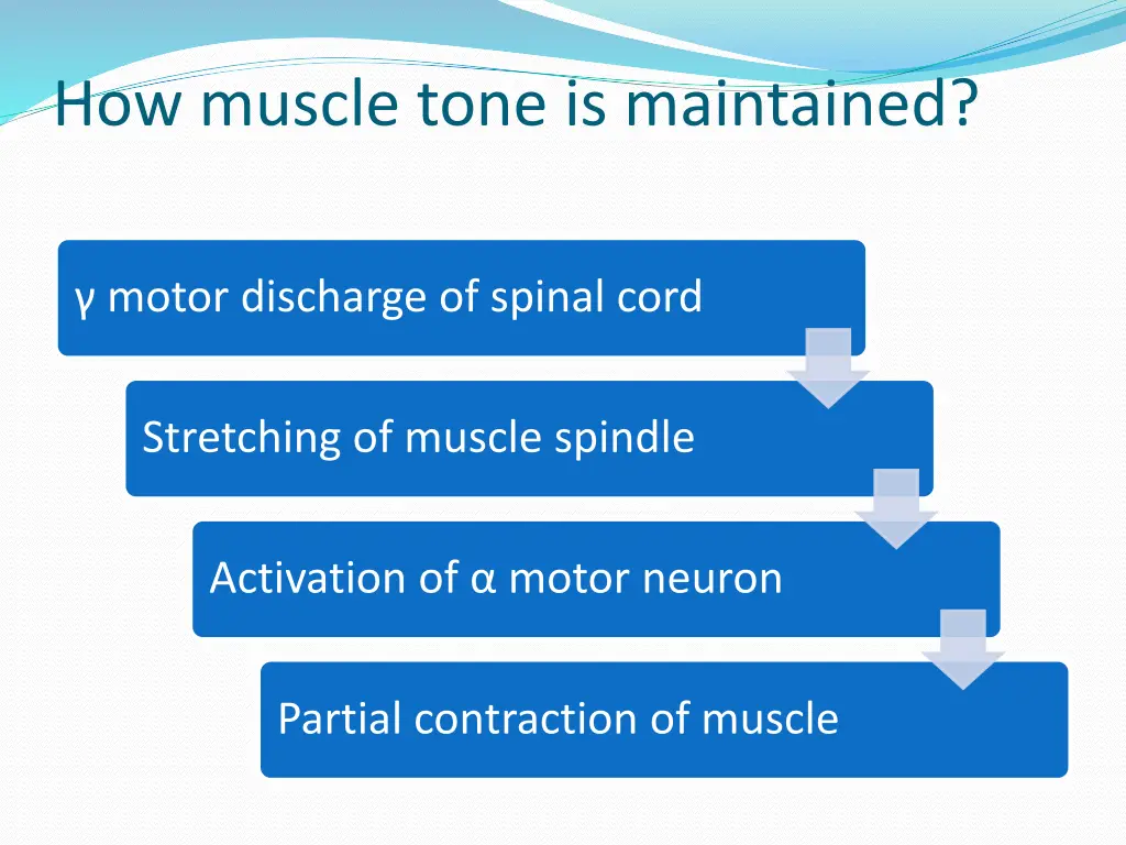 how muscle tone is maintained 1