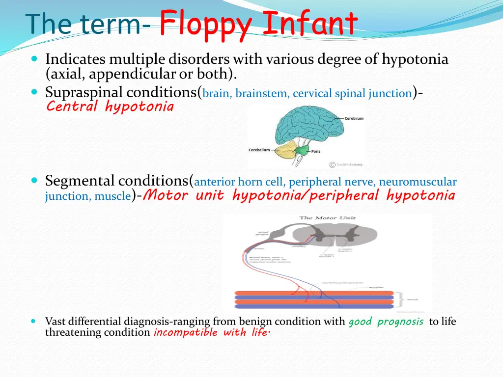 the term floppy infant