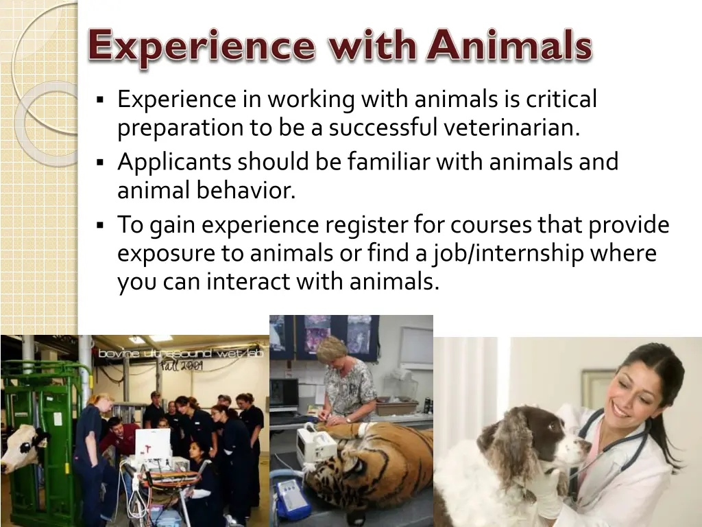 experience in working with animals is critical