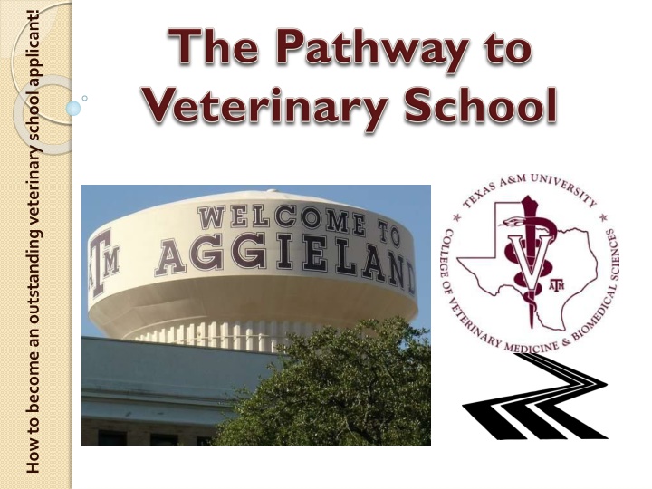 how to become an outstanding veterinary school