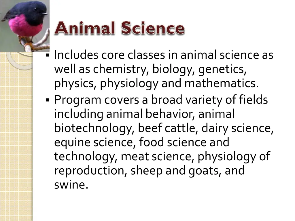 includes core classes in animal science as well