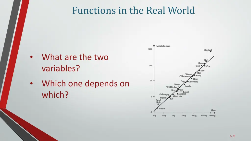 functions in the real world